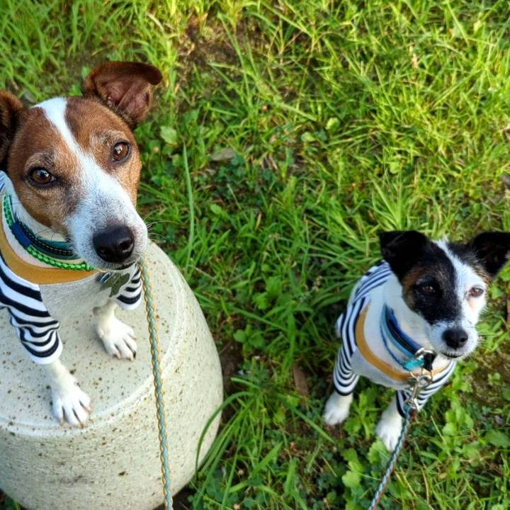 37c40361 ffc1 42bf bf70 19fce136c84b 1723585275962