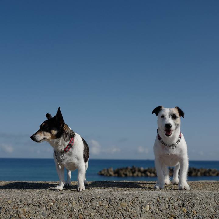 37c4096e cd2e 4ab3 94b3 75f52b3b50ce 1560397882072