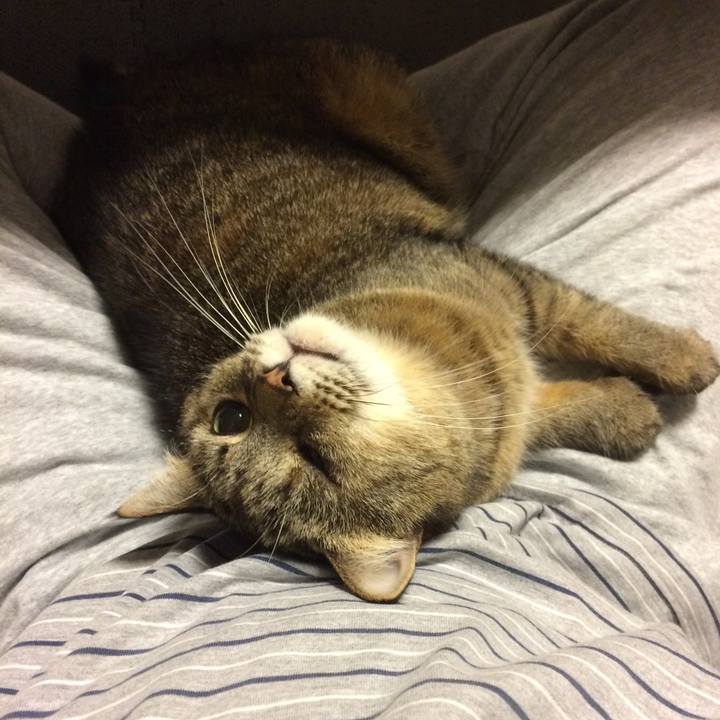 37c48577 f3c8 407a 9fdf 0ea101f3077b 1607591823813