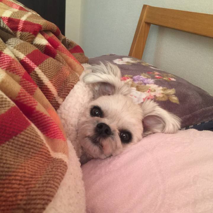 37c49388 30ac 4cca 9ccc cdcc04816b93 1517312257556