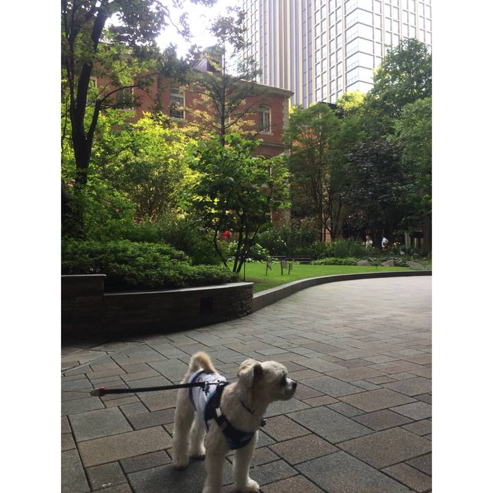 37c4ab96 d004 4a4a 9f3d da393a8c1495 1530007420682