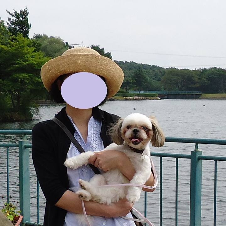 37c4f06f 7000 4a34 84d0 32ff5828cf05 1530412552681