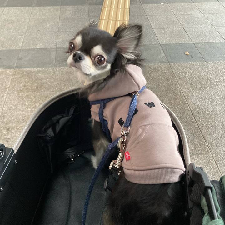 37c528de d5eb 4c33 b316 92f0f774285d 1668923210585