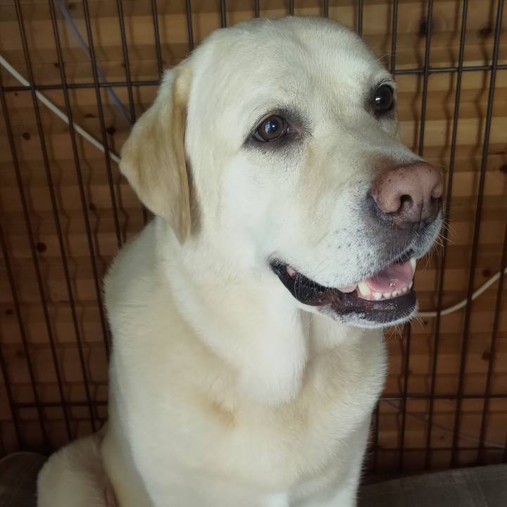 37c530c1 99e9 4cde b974 c86c9fccf10c 1656205446482