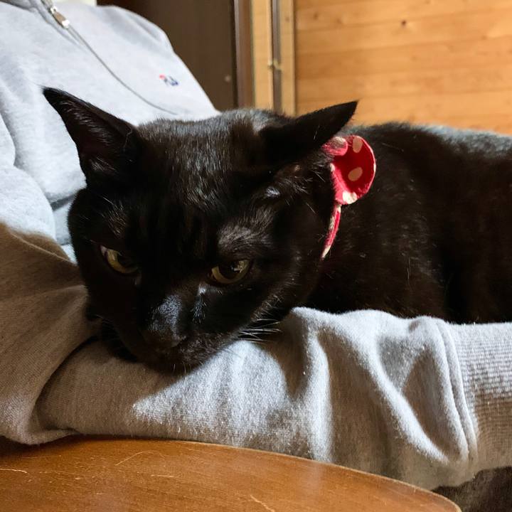 37c54f14 26d0 4054 aa95 694c171b75ac 1576937063952