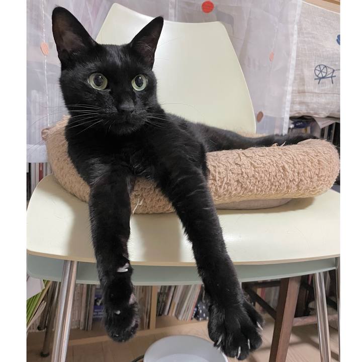 37c5598d fc01 41d0 9960 101ce7bc6c41 1657986005998