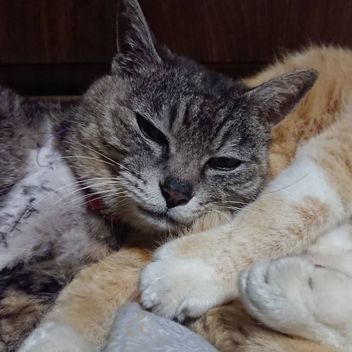 37c55d51 4c5c 4faa 9800 2384eb116377 1589286304747