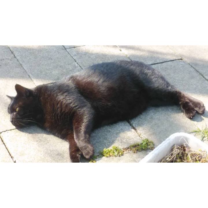 37c58a64 7d2e 4085 b7dc 46f53d4abfe8 1615870138349