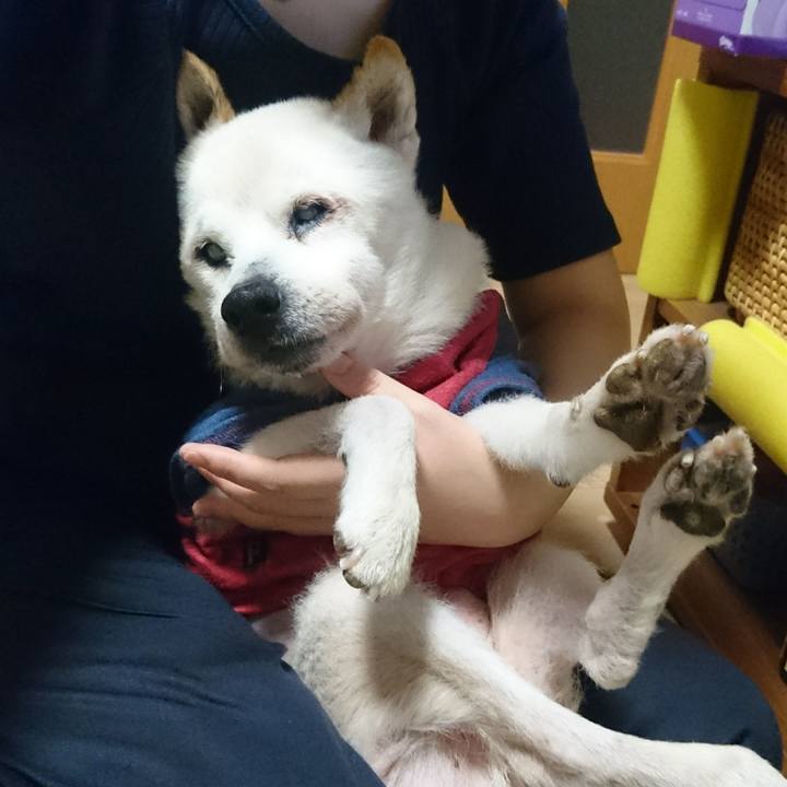 37c5a0c2 a714 4097 8cbe 9d516958898a 1536848466918