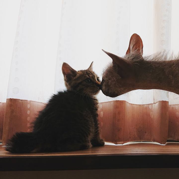 37c5bba7 4428 451b aefc 67be45c3ab20 1558661077209