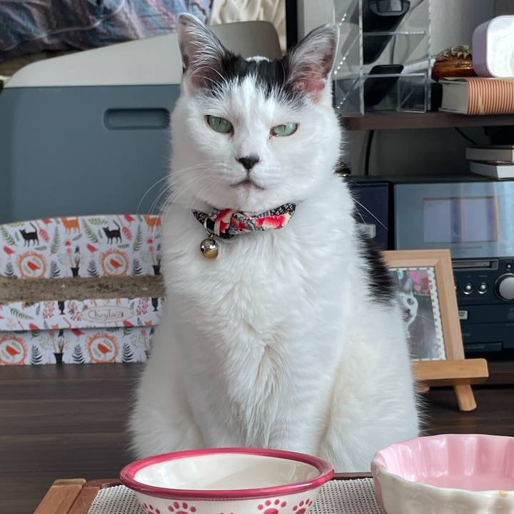 37c5c85f 2840 4660 863e 69c7e6642c03 1713062589703