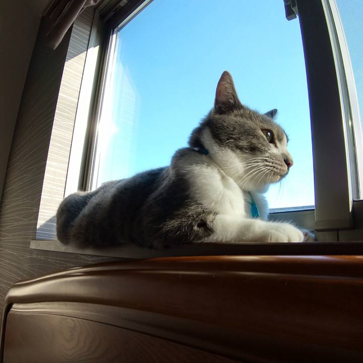 37c68082 cebd 417c ae5f 324b703d5af5 1626646760751