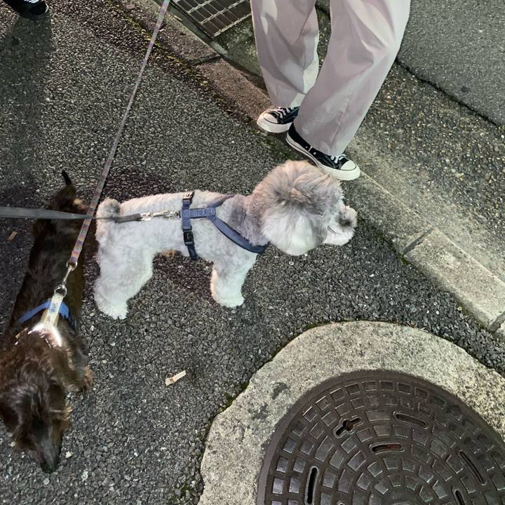 37c6893a defa 43bd 8cad 2cb39bac933f 1629822004118