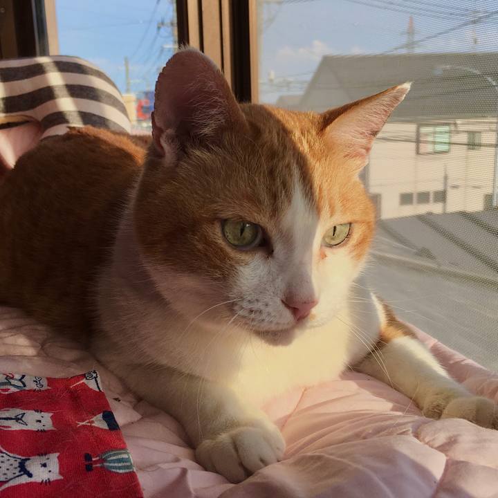 37c6a009 643e 437a 8502 db501b8f6a10 1590995223645