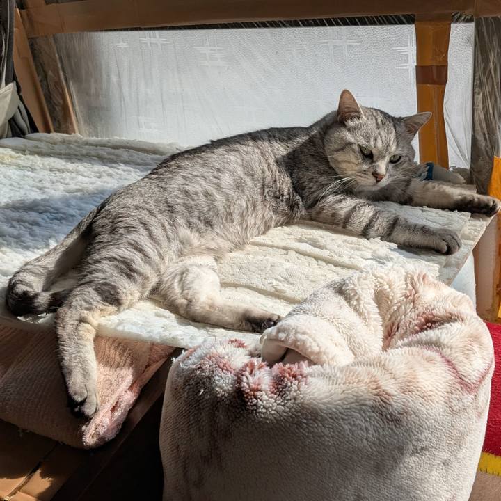 37c6b483 589c 4cb9 b18b 8492dc11cc88 1740795741948