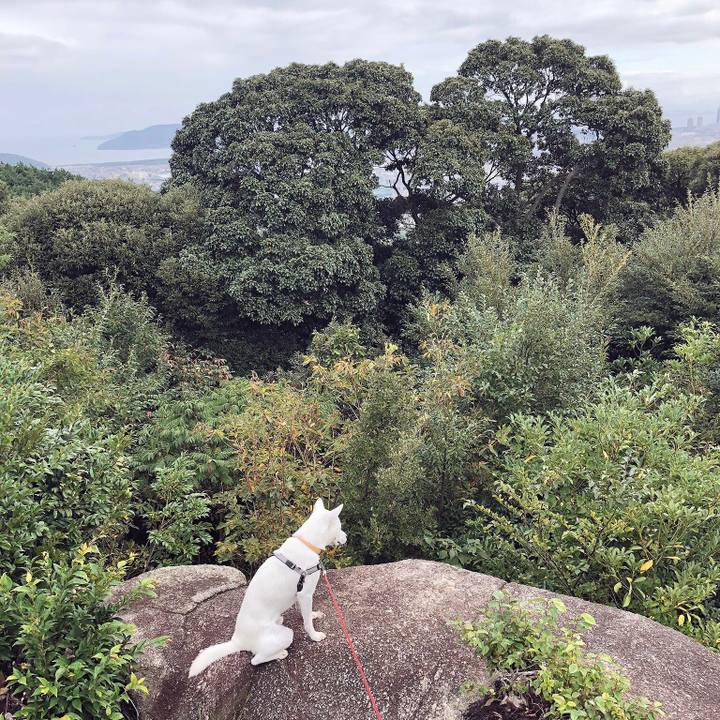 37c6d155 0da9 4129 a152 83fa52aaec1a 1538877532730