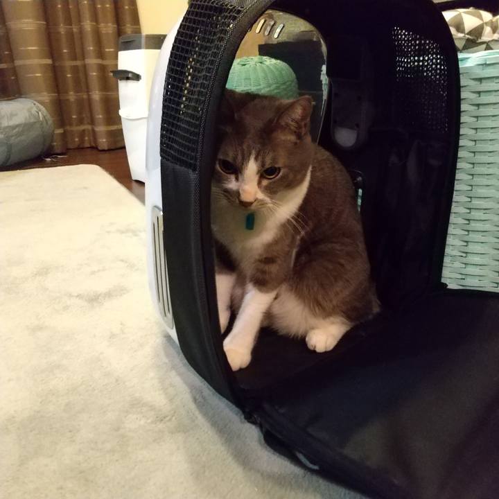 37c6d1d8 06da 4563 845e 1c6999b6ecae 1637980295834