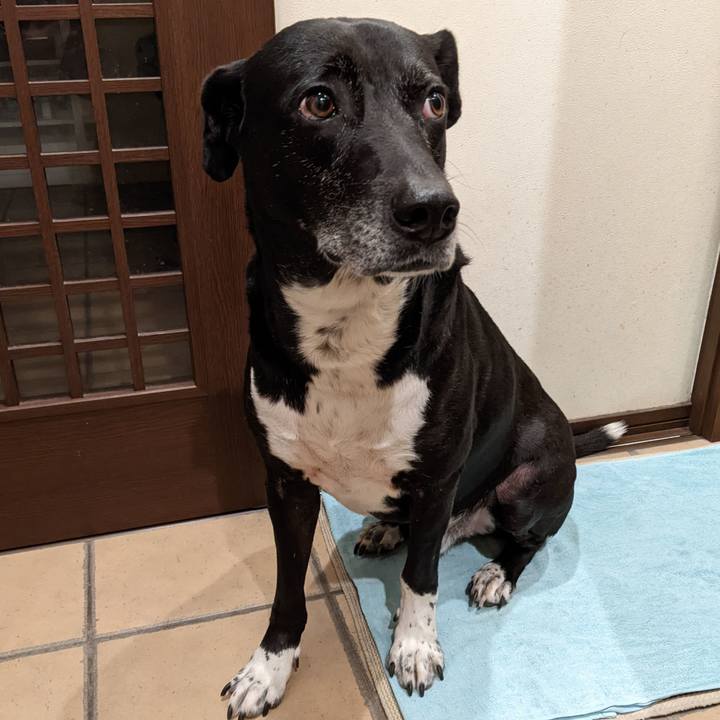 37c6d27c 1df4 411d 8f4b a7a068f56080 1707993655887