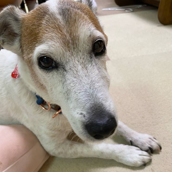 37c6e3af eac1 4204 ba0c 4541f3ba31b8 1610878125248