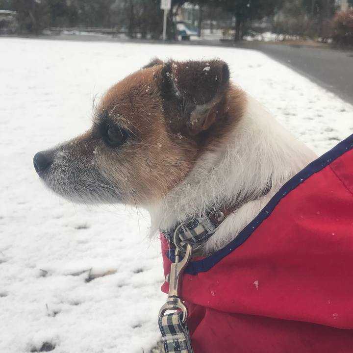 37c6f47c 8cb0 40e4 bcd9 21bc7a830717 1516601754627