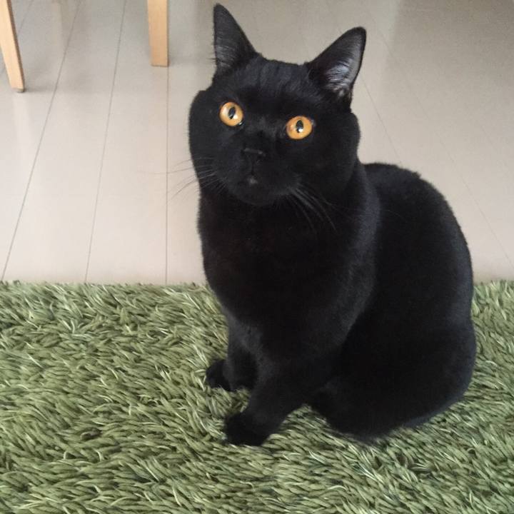 37c701aa 688d 47fd 87b9 6b37a2db02a6 1512425372284