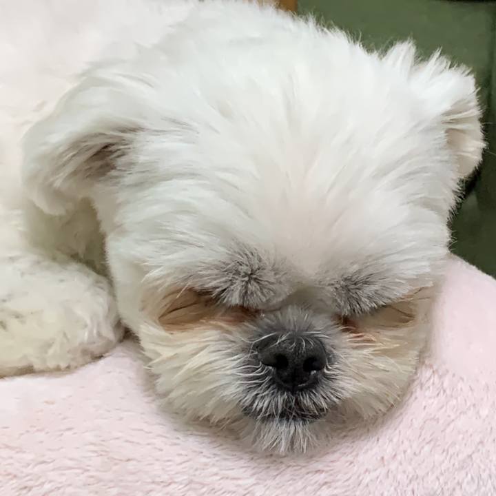 37c708c4 abdd 44aa 8411 b4ca293f890f 1671365143736