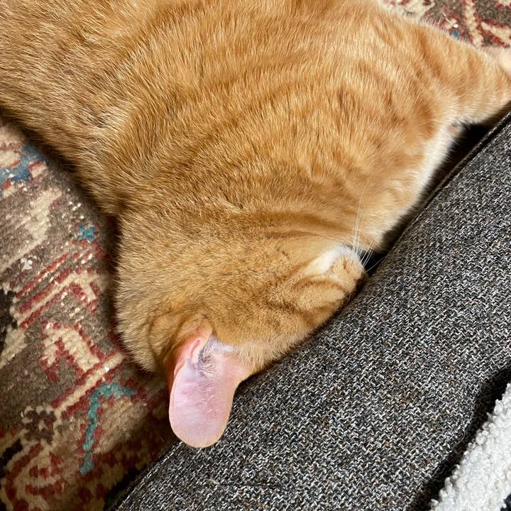 37c719a8 238f 4920 aeb4 0892f68c28bf 1764853178890