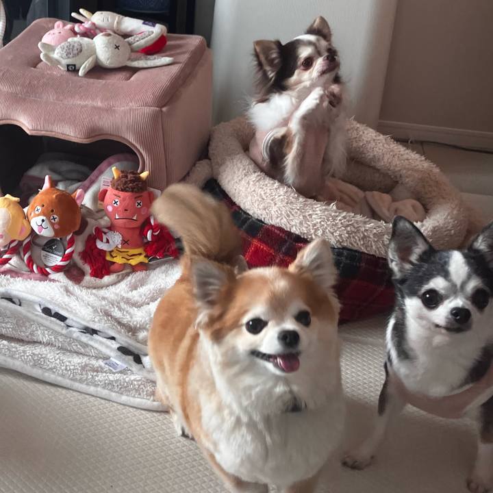 37c72fcd b0b2 47b6 8e02 ca0351fcc31e 1766221329942