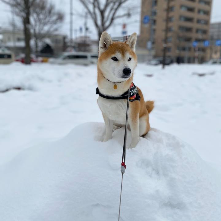 37c741ae f544 47d3 a6c1 cf17533a6bcb 1641270961413