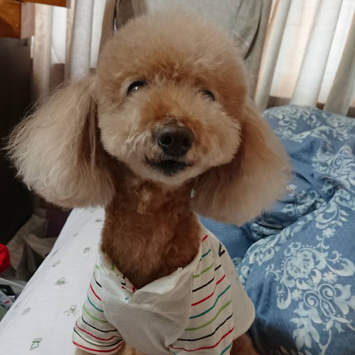 37c7611c e24c 4630 b77d 4db83d43c6ff 1588820877388