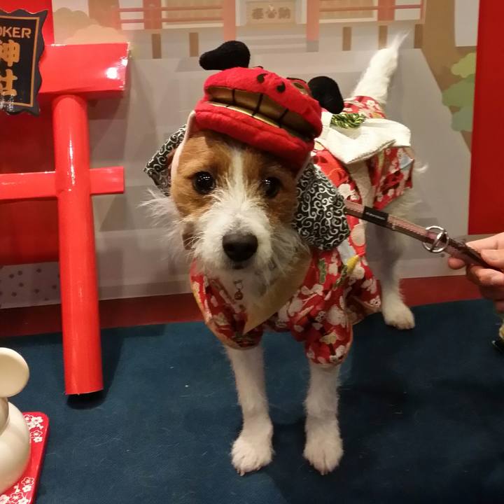 37c7ab91 5c7a 489d a349 83d97e80fc30 1514936555980