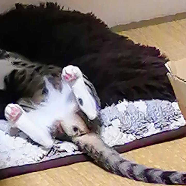 37c7d39b 417f 4872 8e87 73cd1edd47b0 1663507526180