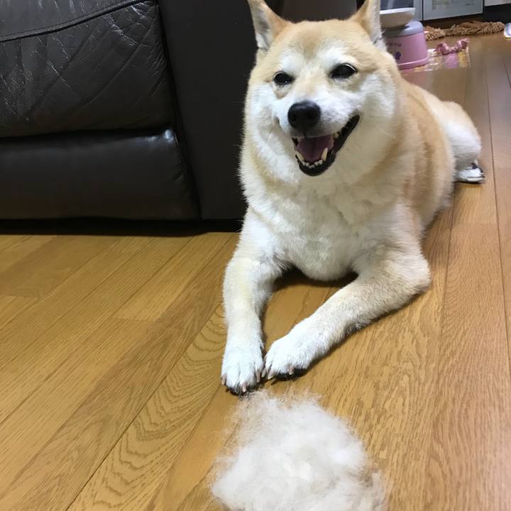 37c7f113 d0c8 4295 abc3 b7d9603e4a3f 1528347023640