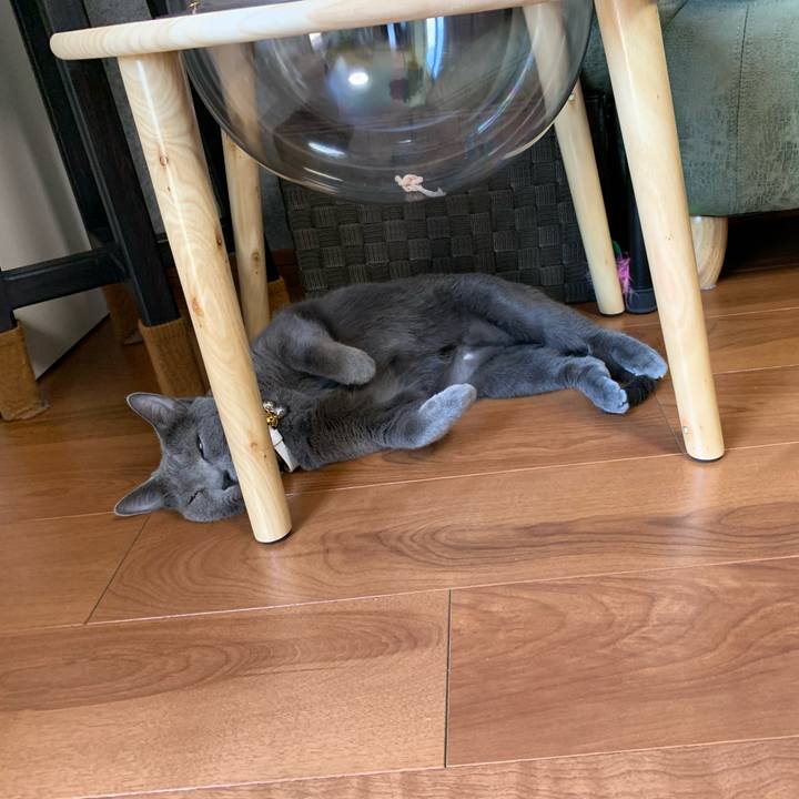 37c80c87 1c60 4cd9 a55d cc0a8bf65bc0 1622525669311