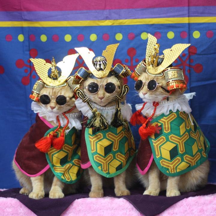 37c81f57 da53 4f11 8f61 76203a89c3df 1651552100760