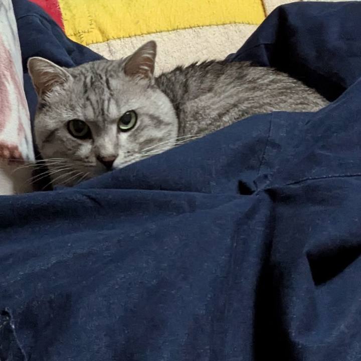 37c847db 6f6c 4554 8454 2d05b3bd76ec 1755792324371