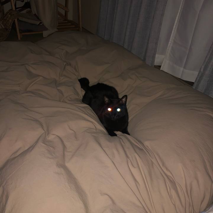 37c8599b fadc 4d52 96b9 baebcb2bcc96 1638693351082