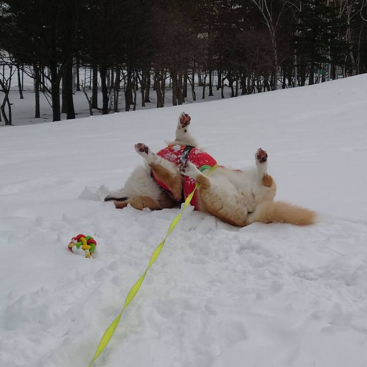 37c8849c b5dc 494b ba47 600752b12040 1766973570141