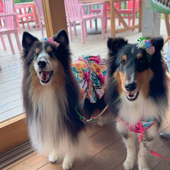 37c8e251 9631 4776 8891 1ff769feb379 1758458297330