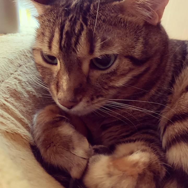 37c90540 3003 465b a10d 1ddf0579ba0c 1590793576653