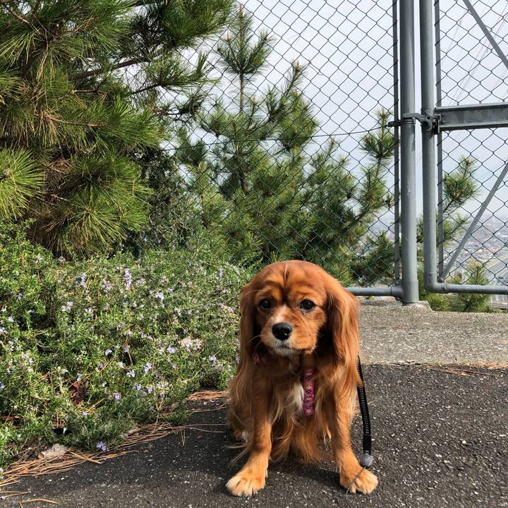 37c907e3 7165 4ecf a78f 2f09973a944e 1581745612306