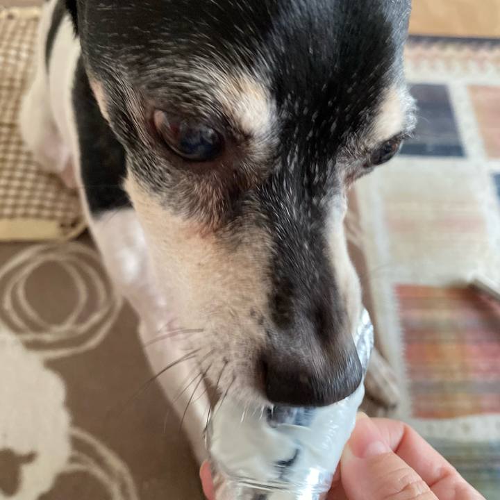 37c93008 7f1c 4031 99a5 0b3e37bc2c95 1583497252612