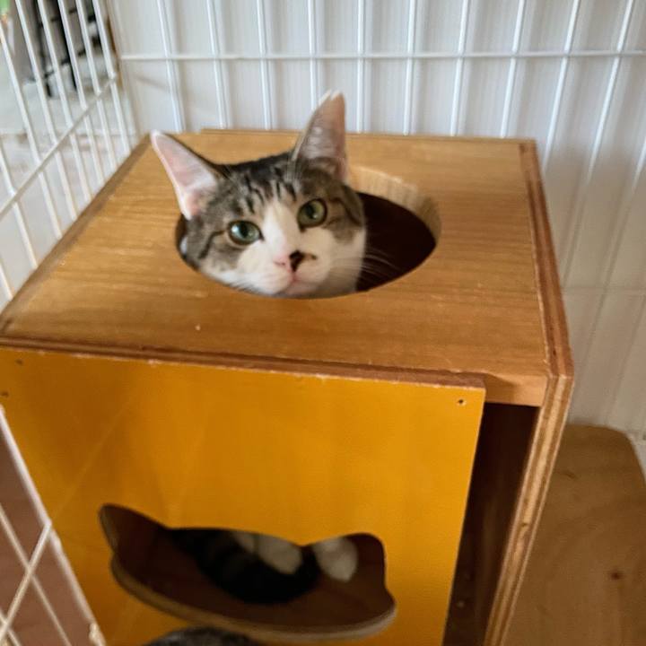 37c982ac 6e9b 4ef5 80a3 9a3ebda8f7fa 1760399272326