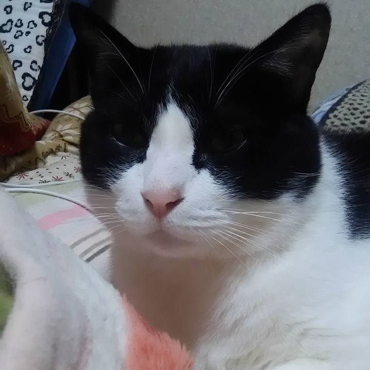 37c98d70 b575 46da b405 201bd2969d7f 1526112278429