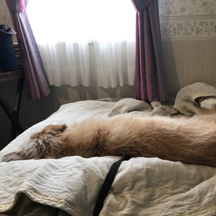 37c9b0ff cfe8 4b9c b37c 4d86c7697958 1609748783689