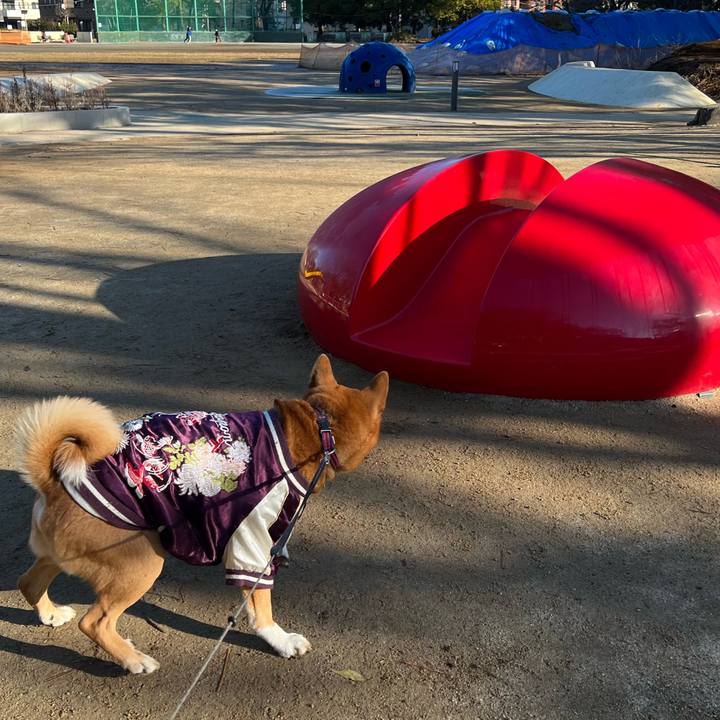 37c9c7f7 1fb5 417d b070 edeb187701aa 1672640734603