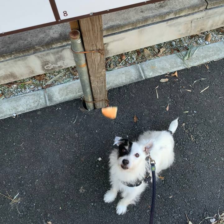 37c9d0bb a695 46c5 872f d90440b710ec 1729988516292