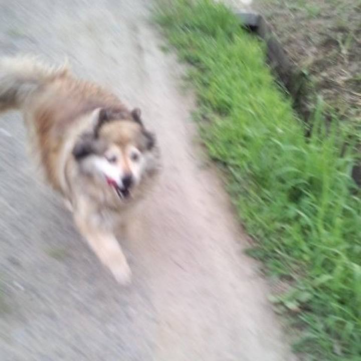 37c9dba6 95d9 4c68 bc50 c75711dfc238 1615357174106