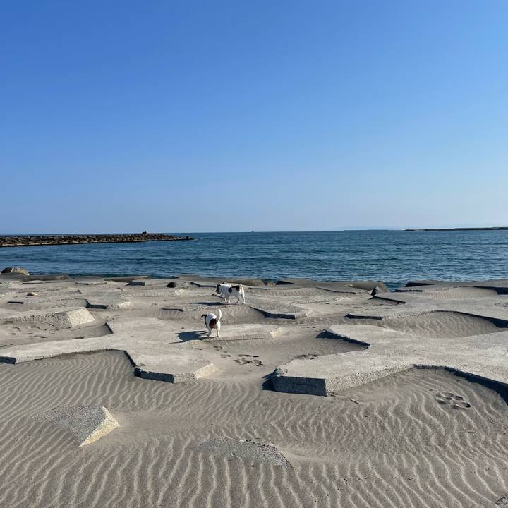 37c9df3a 22f4 4f69 9ada f7c63e161aba 1648948596931