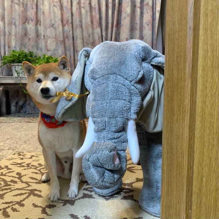 37c9ef26 a3d5 4b42 bc0e b323d90866a5 1614341317600